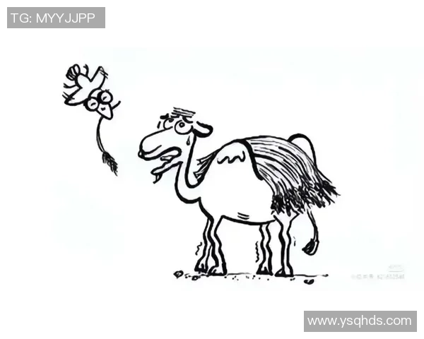 压垮字母的最终一根稻草，会是什么？