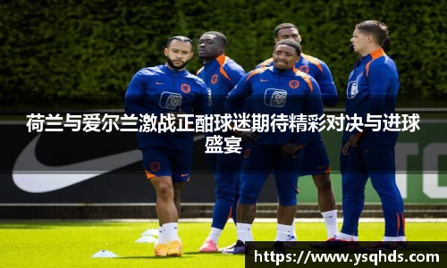 荷兰与爱尔兰激战正酣球迷期待精彩对决与进球盛宴